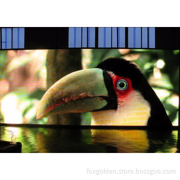 Hot Sale Customized P10 Indoor Full Color LED Panel Light